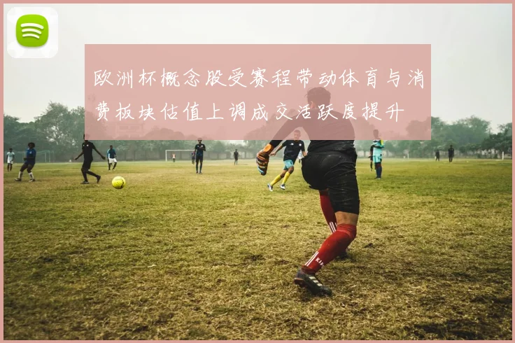 欧洲杯概念股受赛程带动体育与消费板块估值上调成交活跃度提升