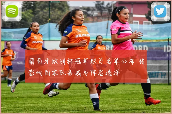 葡萄牙欧洲杯冠军球员名单公布 将影响国家队备战与阵容选择