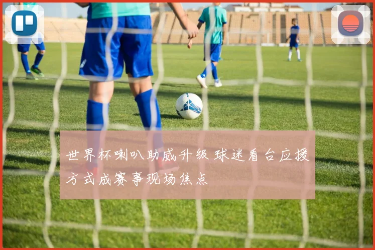 世界杯喇叭助威升级 球迷看台应援方式成赛事现场焦点