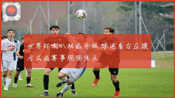 世界杯喇叭助威升级 球迷看台应援方式成赛事现场焦点