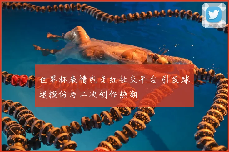 世界杯表情包走红社交平台 引发球迷模仿与二次创作热潮