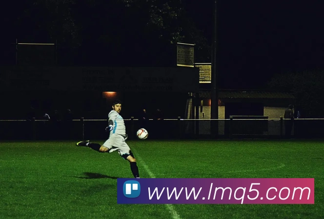 电子pg平台下载官网平台生态图